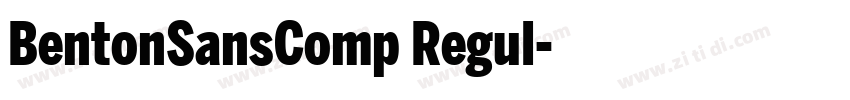 BentonSansComp Regul字体转换
